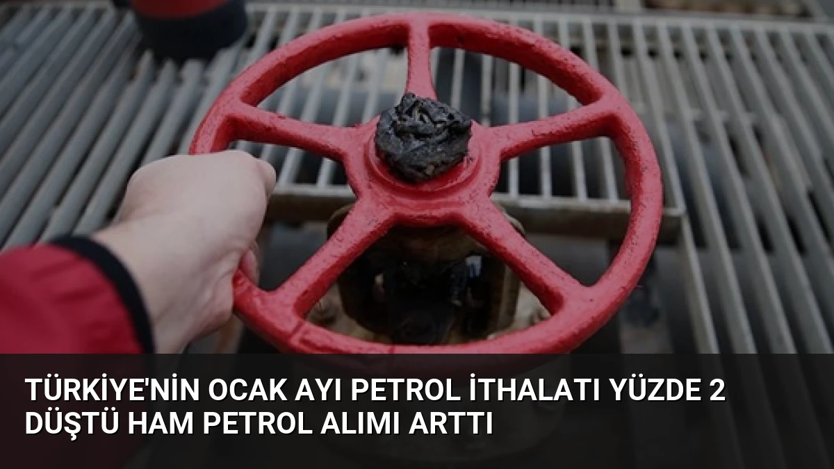 Türkiye’nin Ocak Ayı Petrol İthalatı Yüzde 2 Düştü Ham Petrol Alımı Arttı