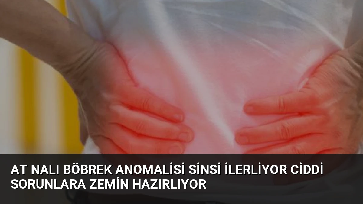At Nalı Böbrek Anomalisi Sinsi İlerliyor Ciddi Sorunlara Zemin Hazırlıyor