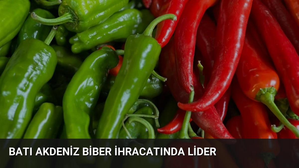 Batı Akdeniz Biber İhracatında Lider