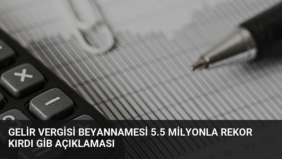 Gelir Vergisi Beyannamesi 5.5 Milyonla Rekor Kırdı GİB Açıklaması