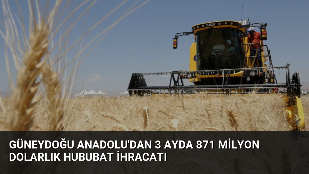 Güneydoğu Anadolu’dan 3 Ayda 871 Milyon Dolarlık Hububat İhracatı