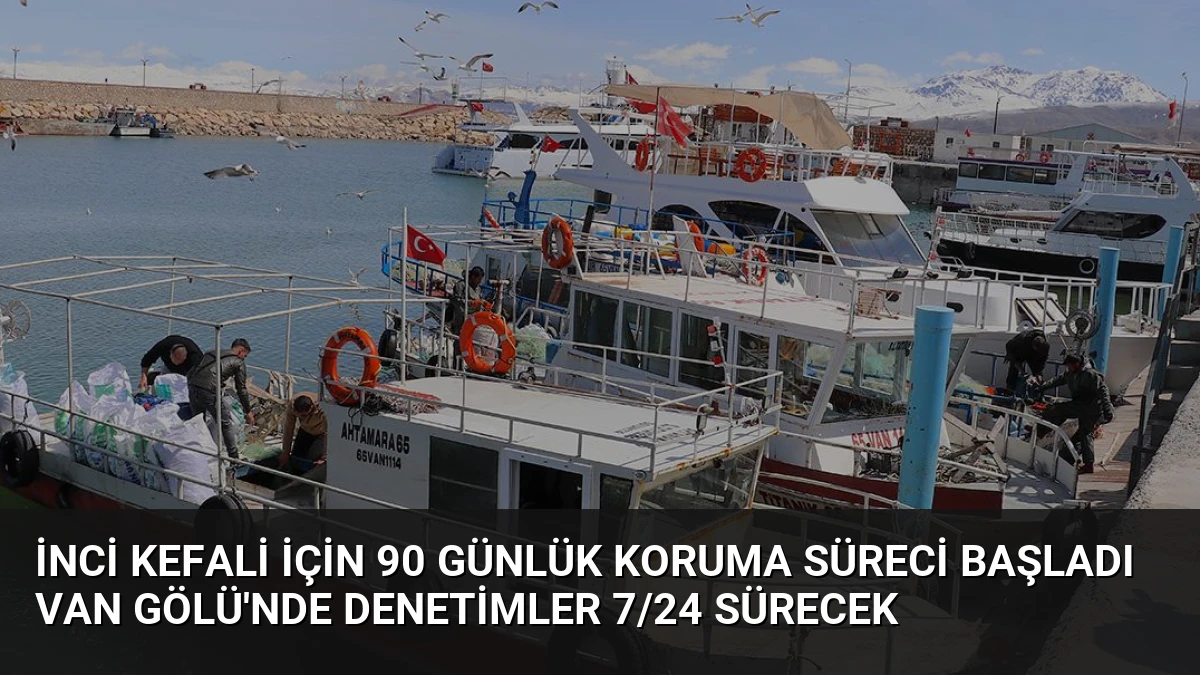 İnci Kefali İçin 90 Günlük Koruma Süreci Başladı Van Gölü’nde Denetimler 7/24 Sürecek