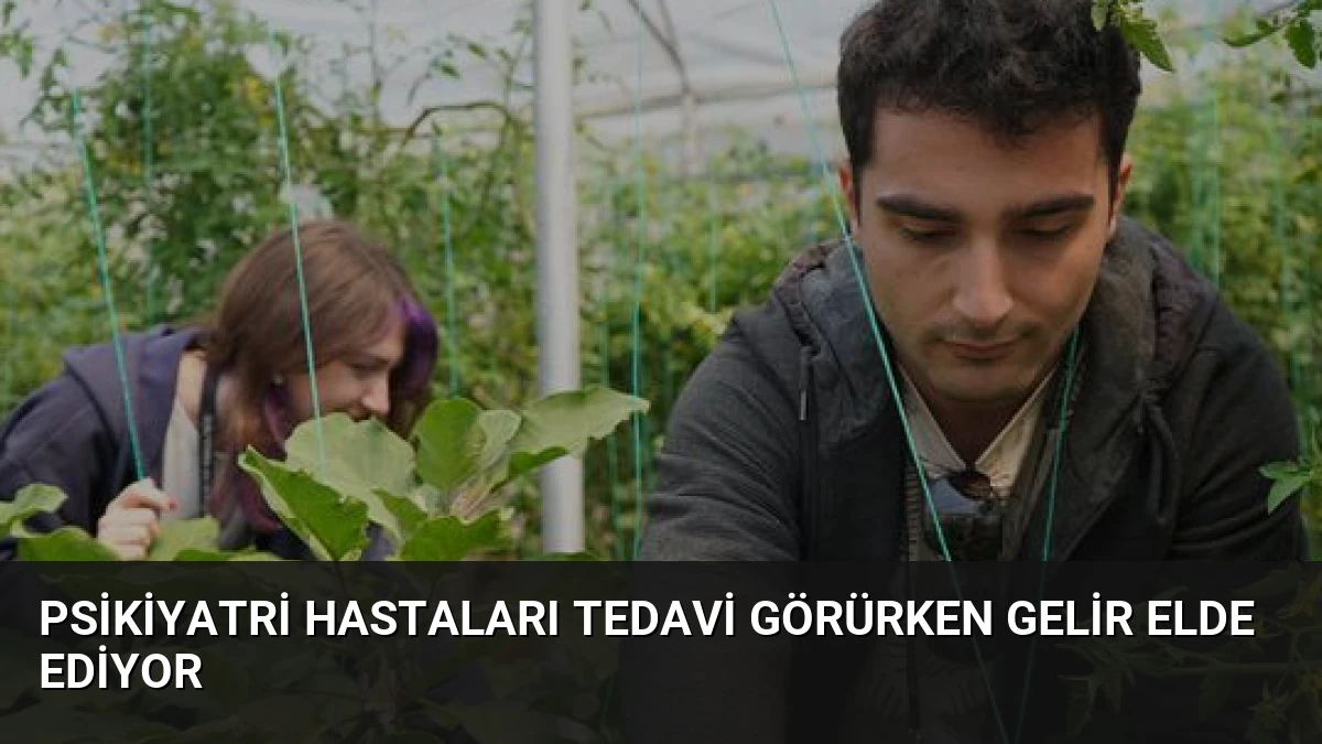 Psikiyatri Hastaları Tedavi Görürken Gelir Elde Ediyor