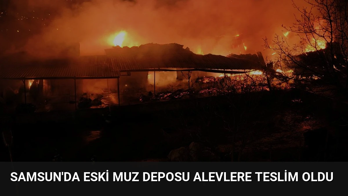 Samsun’da Eski Muz Deposu Alevlere Teslim Oldu