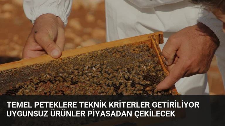 Temel Peteklere Teknik Kriterler Getiriliyor Uygunsuz Ürünler Piyasadan Çekilecek