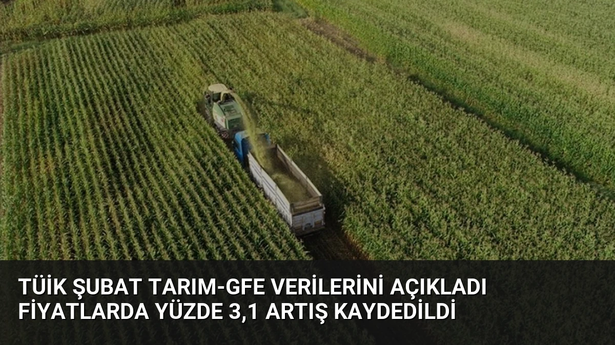 TÜİK Şubat Tarım-GFE Verilerini Açıkladı Fiyatlarda Yüzde 3,1 Artış Kaydedildi