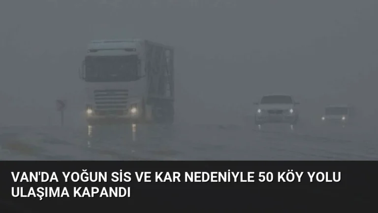 Van’da Yoğun Sis ve Kar Nedeniyle 50 Köy Yolu Ulaşıma Kapandı