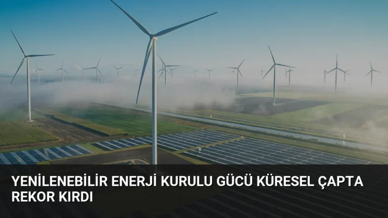 Yenilenebilir Enerji Kurulu Gücü Küresel Çapta Rekor Kırdı