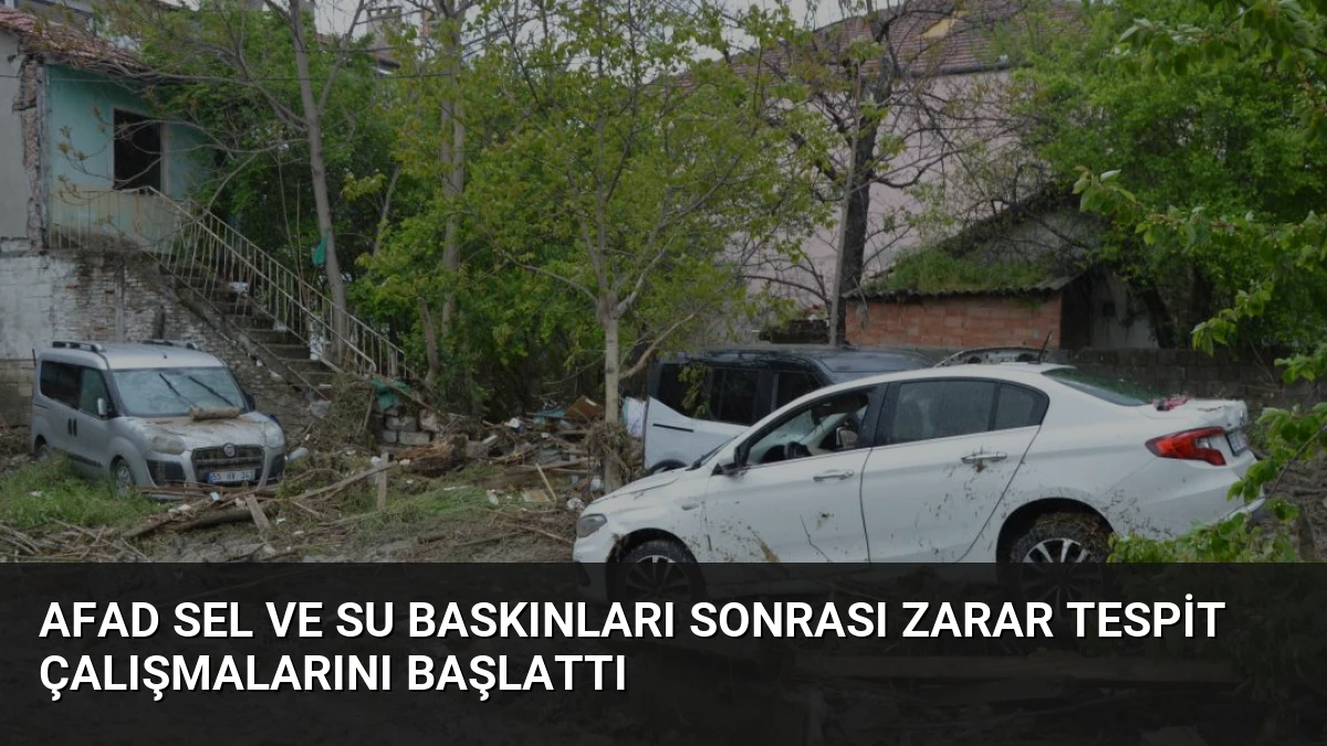 AFAD Sel ve Su Baskınları Sonrası Zarar Tespit Çalışmalarını Başlattı
