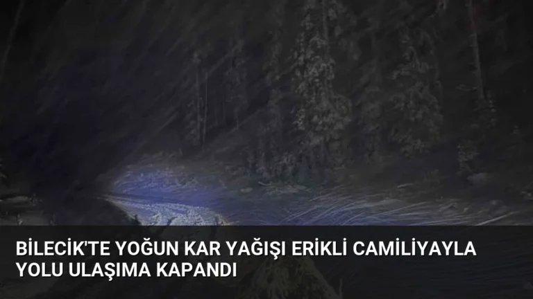 Bilecik’te Yoğun Kar Yağışı Erikli Camiliyayla Yolu Ulaşıma Kapandı