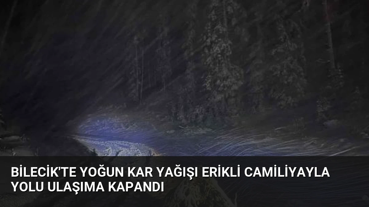 Bilecik’te Yoğun Kar Yağışı Erikli Camiliyayla Yolu Ulaşıma Kapandı