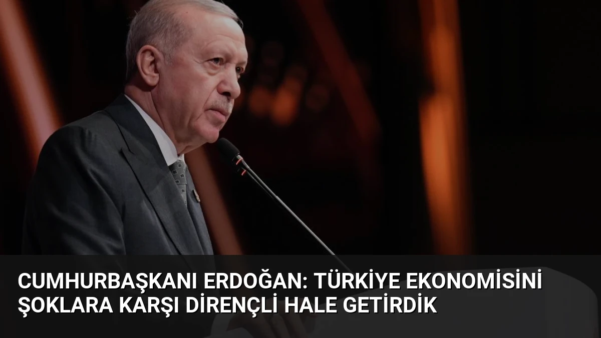 Cumhurbaşkanı Erdoğan: Türkiye ekonomisini şoklara karşı dirençli hale getirdik