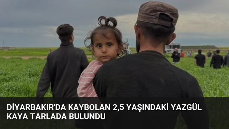 Diyarbakır’da Kaybolan 2,5 Yaşındaki Yazgül Kaya Tarlada Bulundu