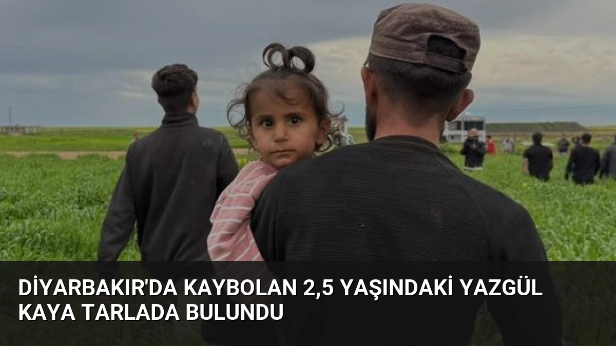 Diyarbakır’da Kaybolan 2,5 Yaşındaki Yazgül Kaya Tarlada Bulundu