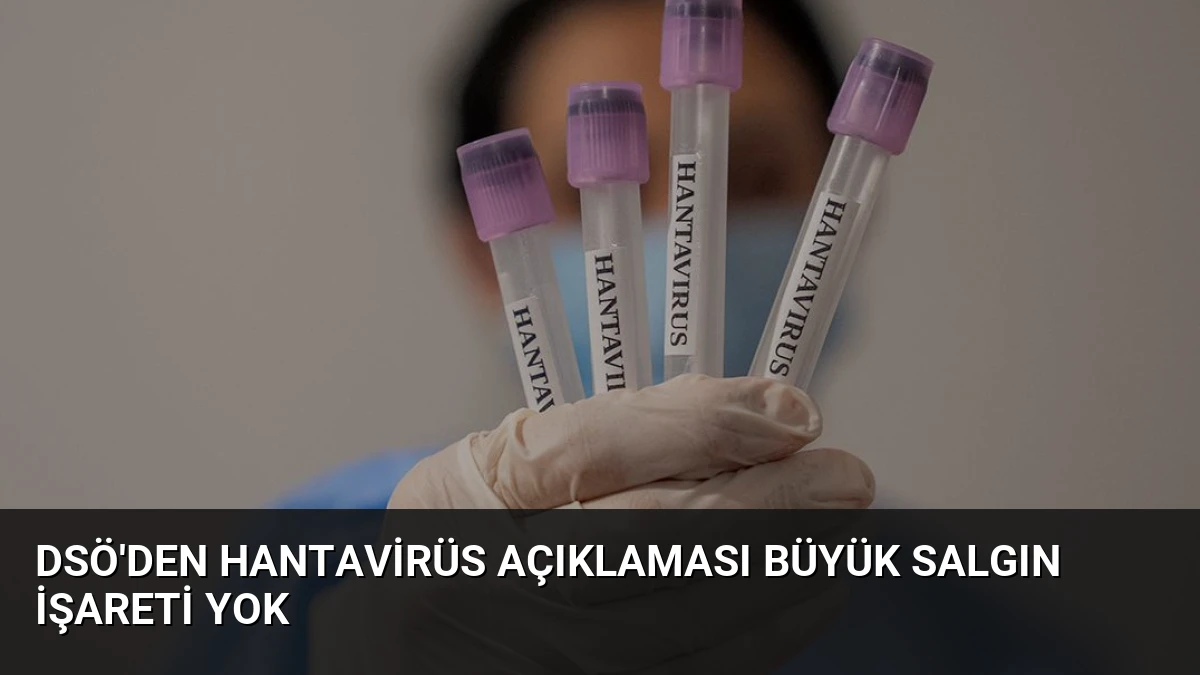 DSÖ’den Hantavirüs Açıklaması Büyük Salgın İşareti Yok