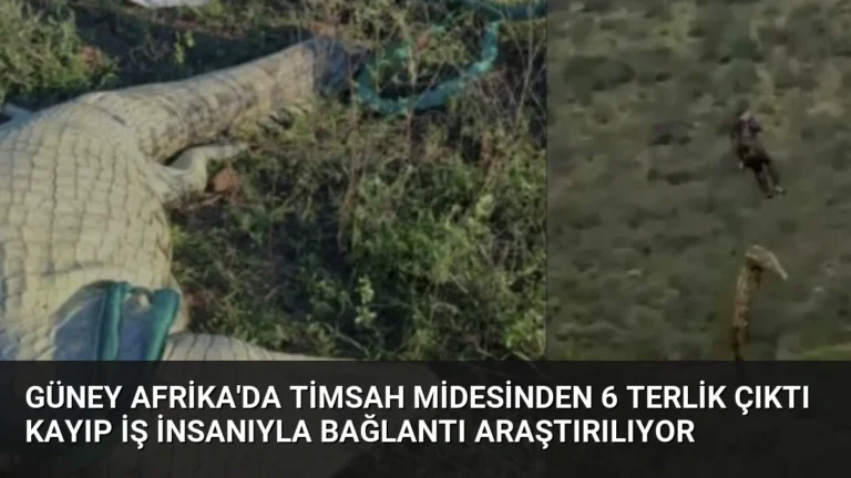 Güney Afrika’da Timsah Midesinden 6 Terlik Çıktı Kayıp İş İnsanıyla Bağlantı Araştırılıyor