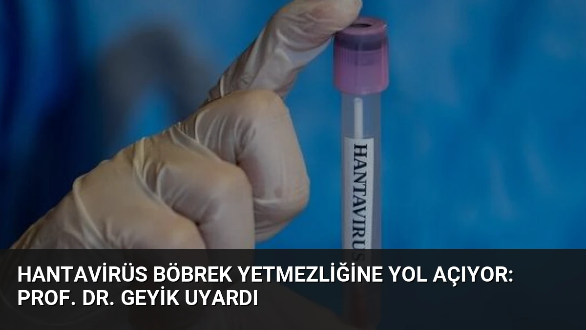 Hantavirüs Böbrek Yetmezliğine Yol Açıyor: Prof. Dr. Geyik Uyardı