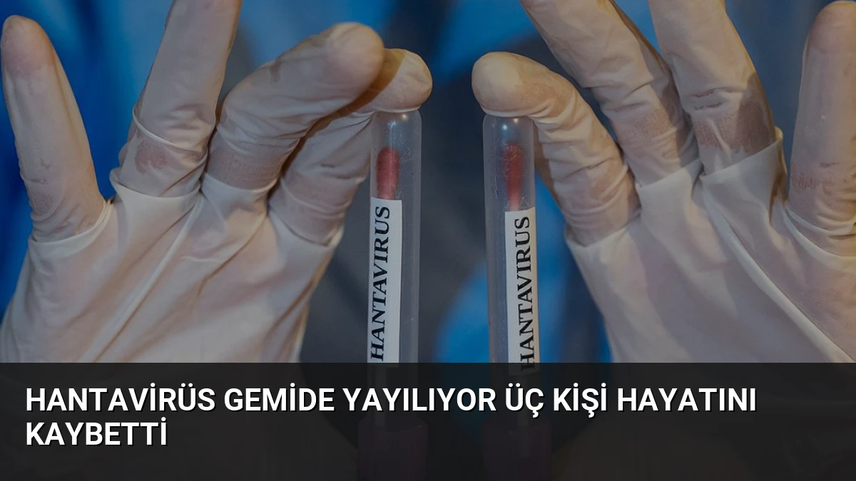 Hantavirüs Gemide Yayılıyor Üç Kişi Hayatını Kaybetti