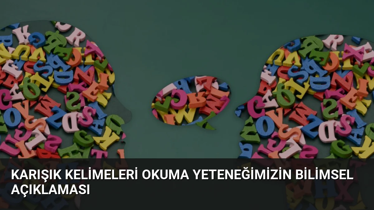 Karışık Kelimeleri Okuma Yeteneğimizin Bilimsel Açıklaması