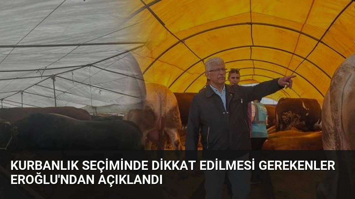 Kurbanlık Seçiminde Dikkat Edilmesi Gerekenler Eroğlu’ndan Açıklandı