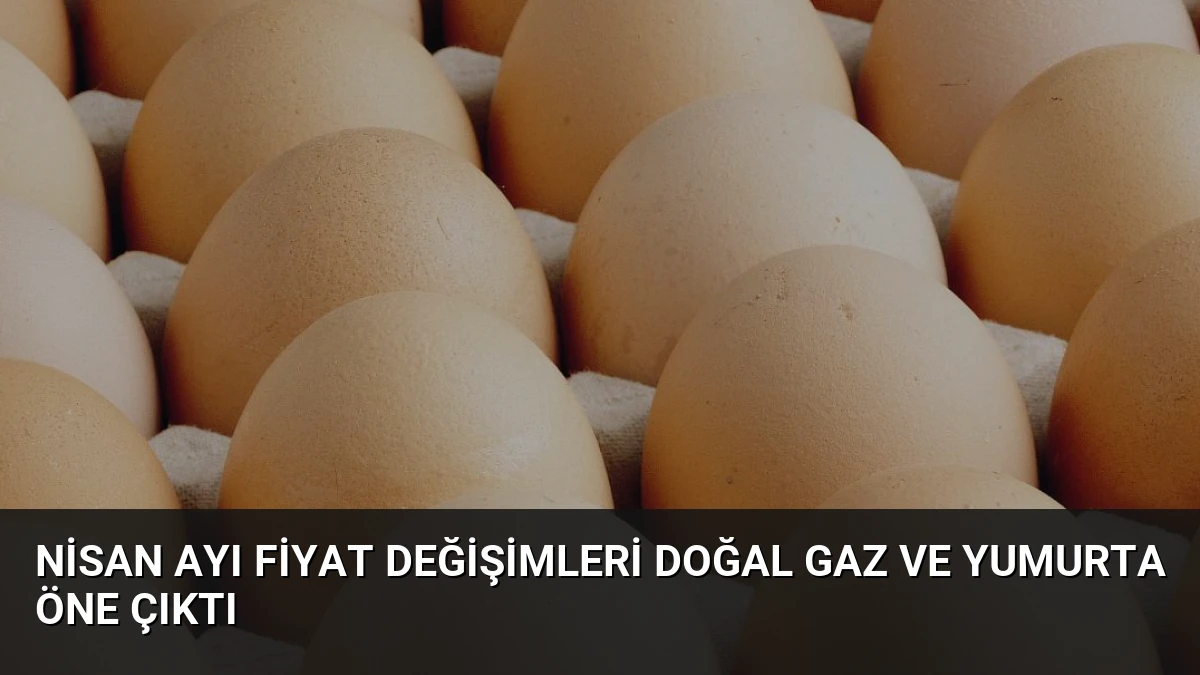 Nisan Ayı Fiyat Değişimleri Doğal Gaz ve Yumurta Öne Çıktı