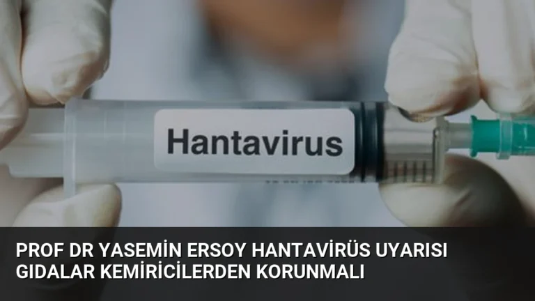 Prof Dr Yasemin Ersoy Hantavirüs Uyarısı Gıdalar Kemiricilerden Korunmalı