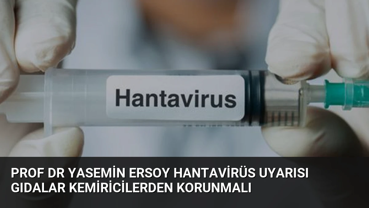 Prof Dr Yasemin Ersoy Hantavirüs Uyarısı Gıdalar Kemiricilerden Korunmalı