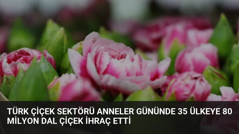 Türk Çiçek Sektörü Anneler Gününde 35 Ülkeye 80 Milyon Dal Çiçek İhraç Etti