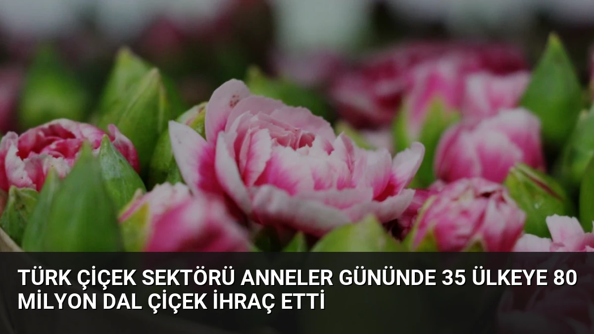 Türk Çiçek Sektörü Anneler Gününde 35 Ülkeye 80 Milyon Dal Çiçek İhraç Etti