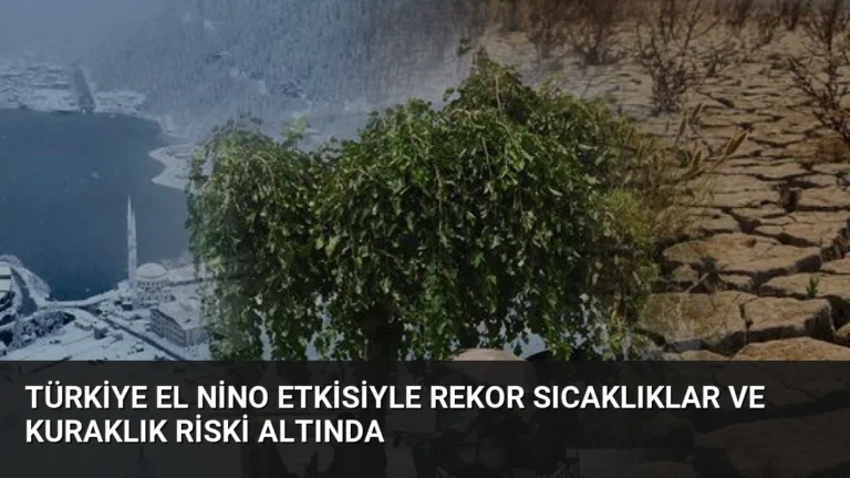 Türkiye El Nino Etkisiyle Rekor Sıcaklıklar ve Kuraklık Riski Altında