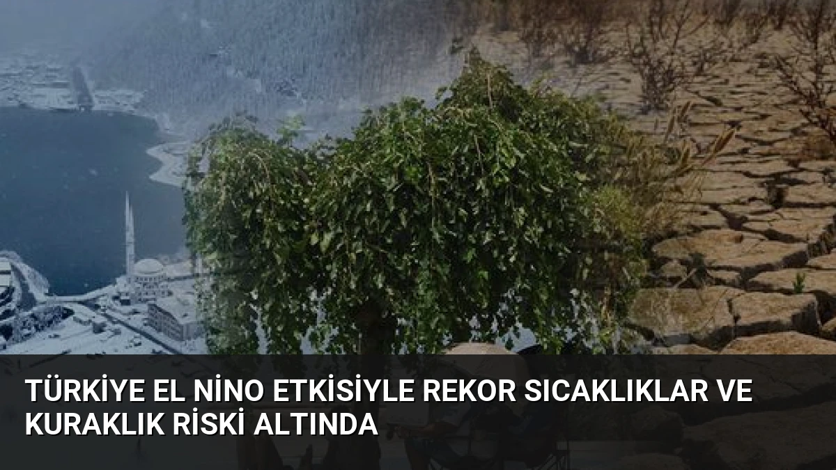 Türkiye El Nino Etkisiyle Rekor Sıcaklıklar ve Kuraklık Riski Altında