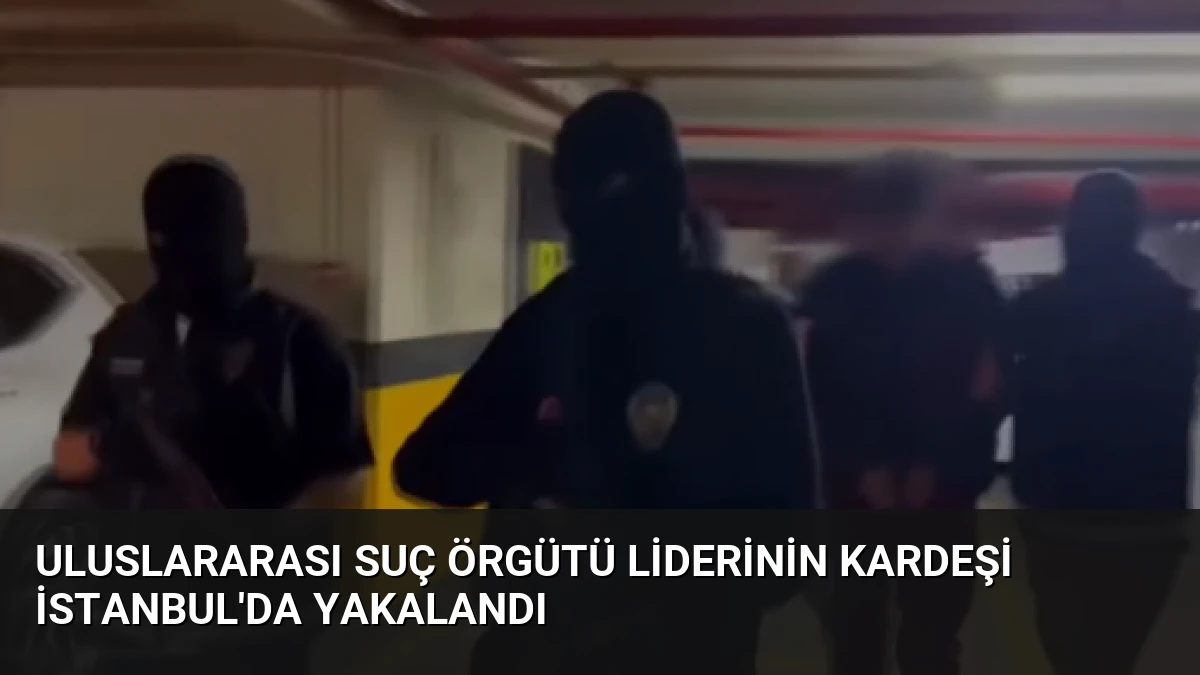 Uluslararası Suç Örgütü Liderinin Kardeşi İstanbul’da Yakalandı