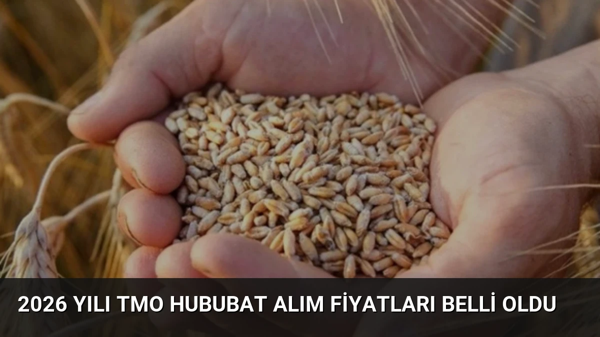 2026 Yılı TMO Hububat Alım Fiyatları Belli Oldu