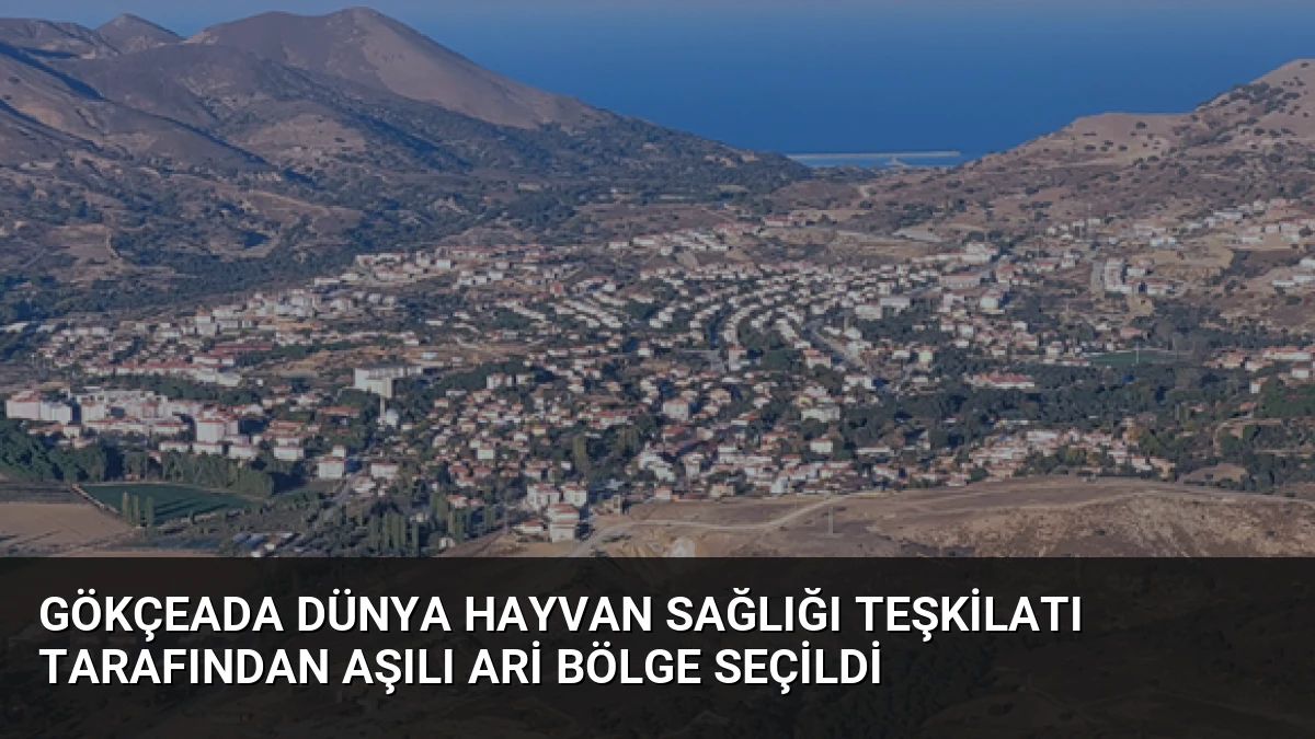 Gökçeada Dünya Hayvan Sağlığı Teşkilatı Tarafından Aşılı Ari Bölge Seçildi