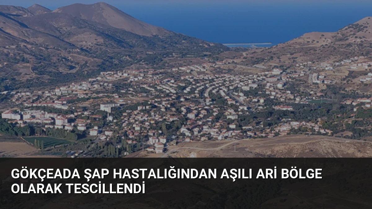 Gökçeada Şap Hastalığından Aşılı Ari Bölge Olarak Tescillendi