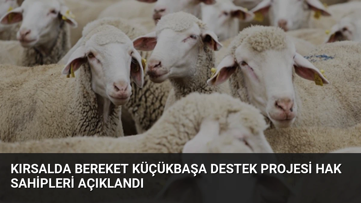 Kırsalda Bereket Küçükbaşa Destek Projesi Hak Sahipleri Açıklandı