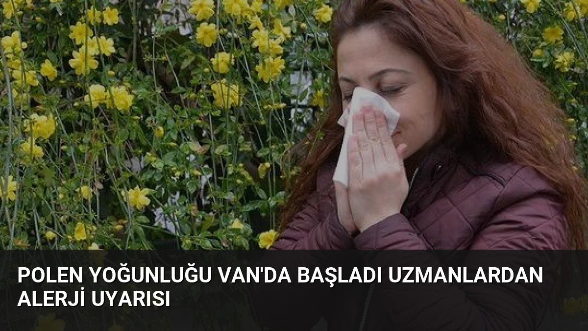 Polen Yoğunluğu Van’da Başladı Uzmanlardan Alerji Uyarısı