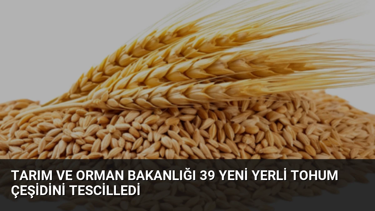 Tarım ve Orman Bakanlığı 39 Yeni Yerli Tohum Çeşidini Tescilledi