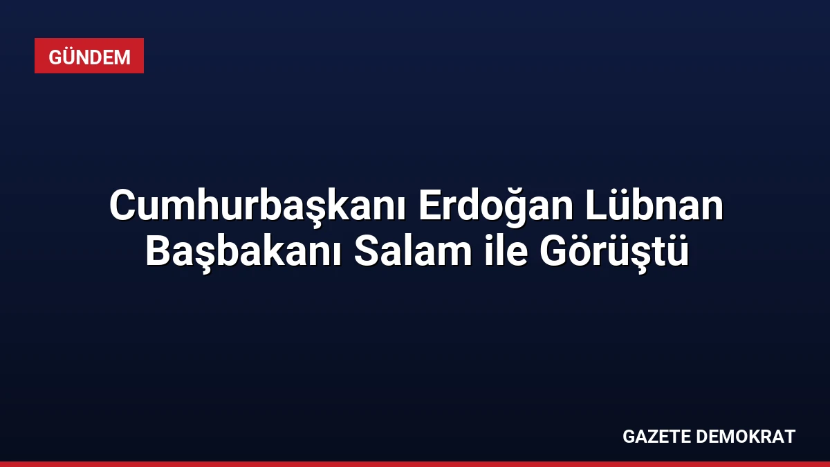 Cumhurbaşkanı Erdoğan Lübnan Başbakanı Salam ile Görüştü