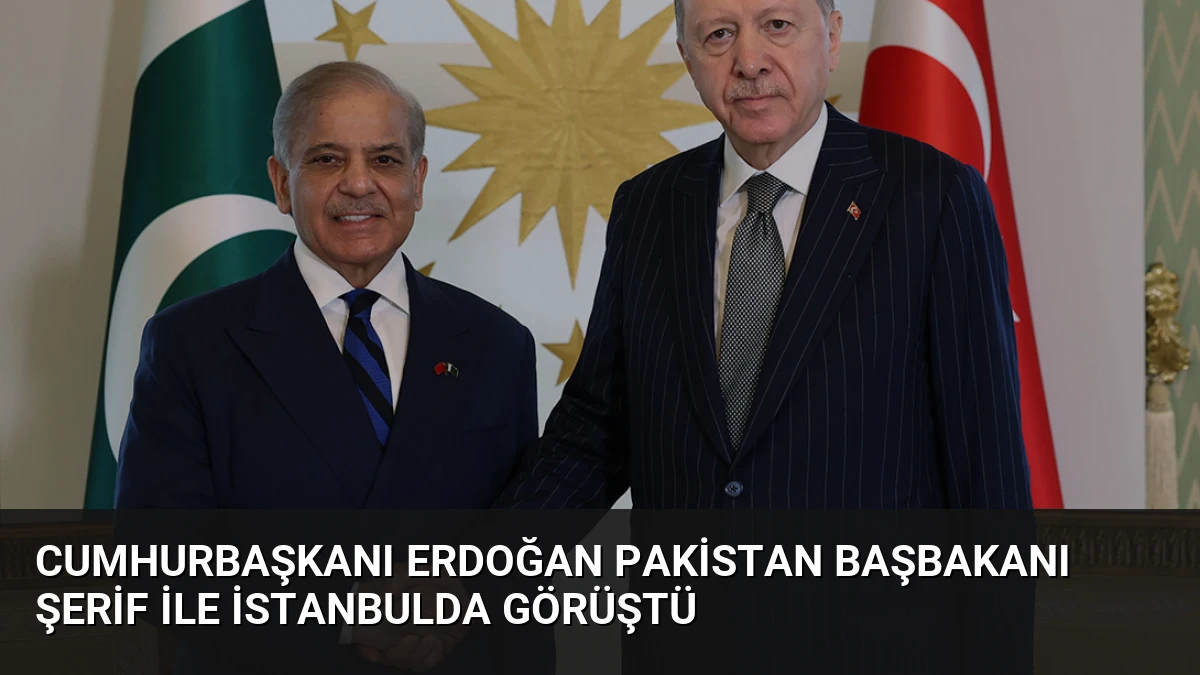 Cumhurbaşkanı Erdoğan Pakistan Başbakanı Şerif ile İstanbulda Görüştü