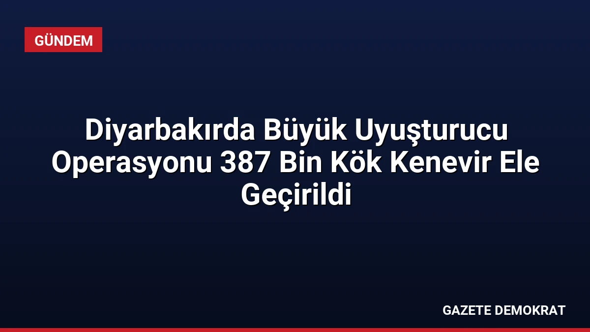 Diyarbakırda Büyük Uyuşturucu Operasyonu 387 Bin Kök Kenevir Ele Geçirildi