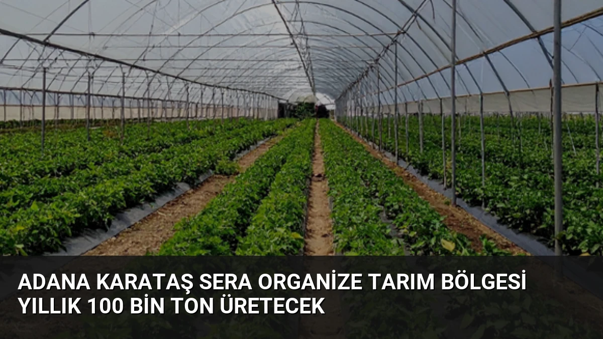 Adana Karataş Sera Organize Tarım Bölgesi Yıllık 100 Bin Ton Üretecek