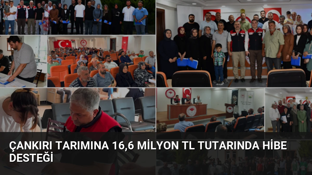 Çankırı Tarımına 16,6 Milyon TL Tutarında Hibe Desteği