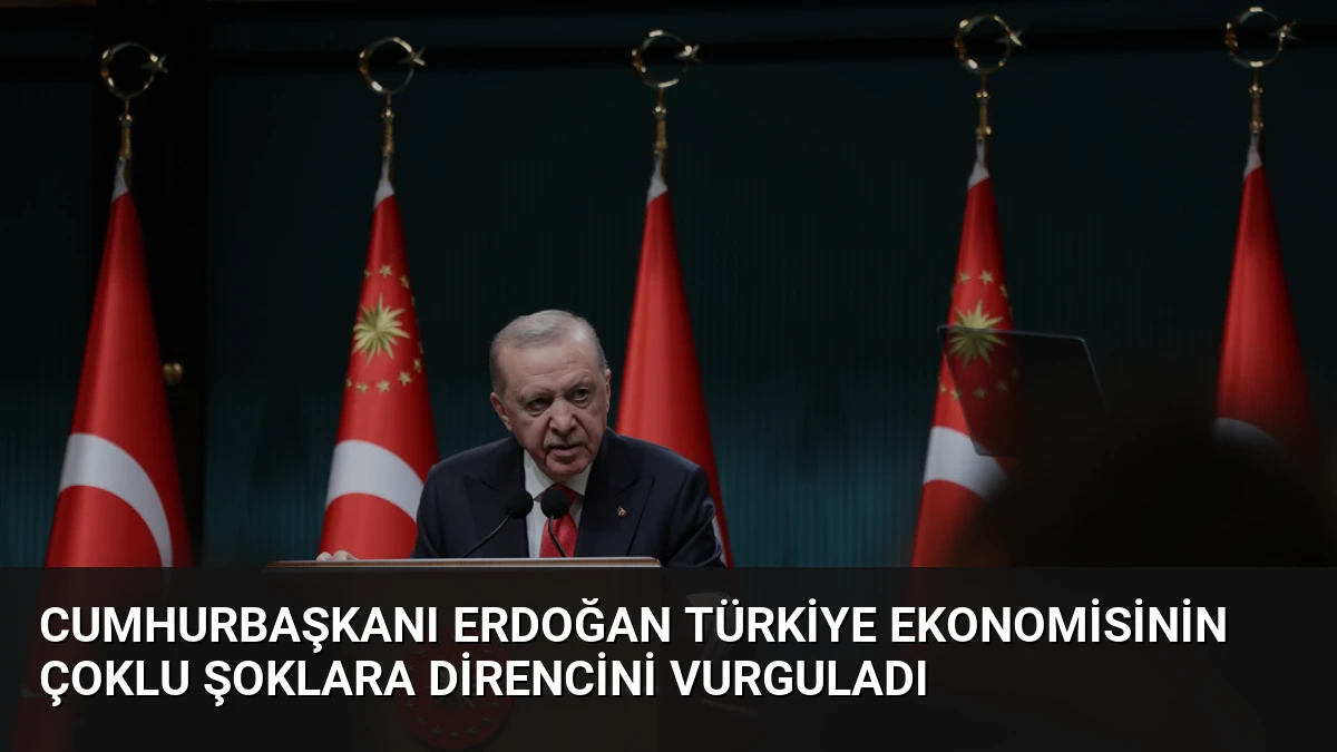 Cumhurbaşkanı Erdoğan Türkiye Ekonomisinin Çoklu Şoklara Direncini Vurguladı