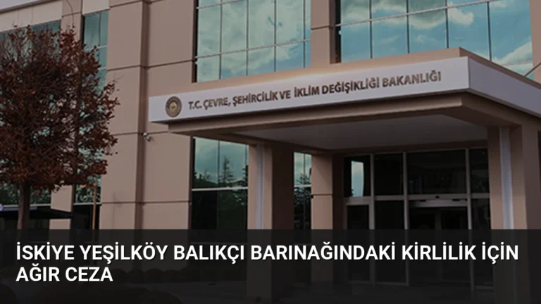 İSKİye Yeşilköy Balıkçı Barınağındaki Kirlilik İçin Ağır Ceza