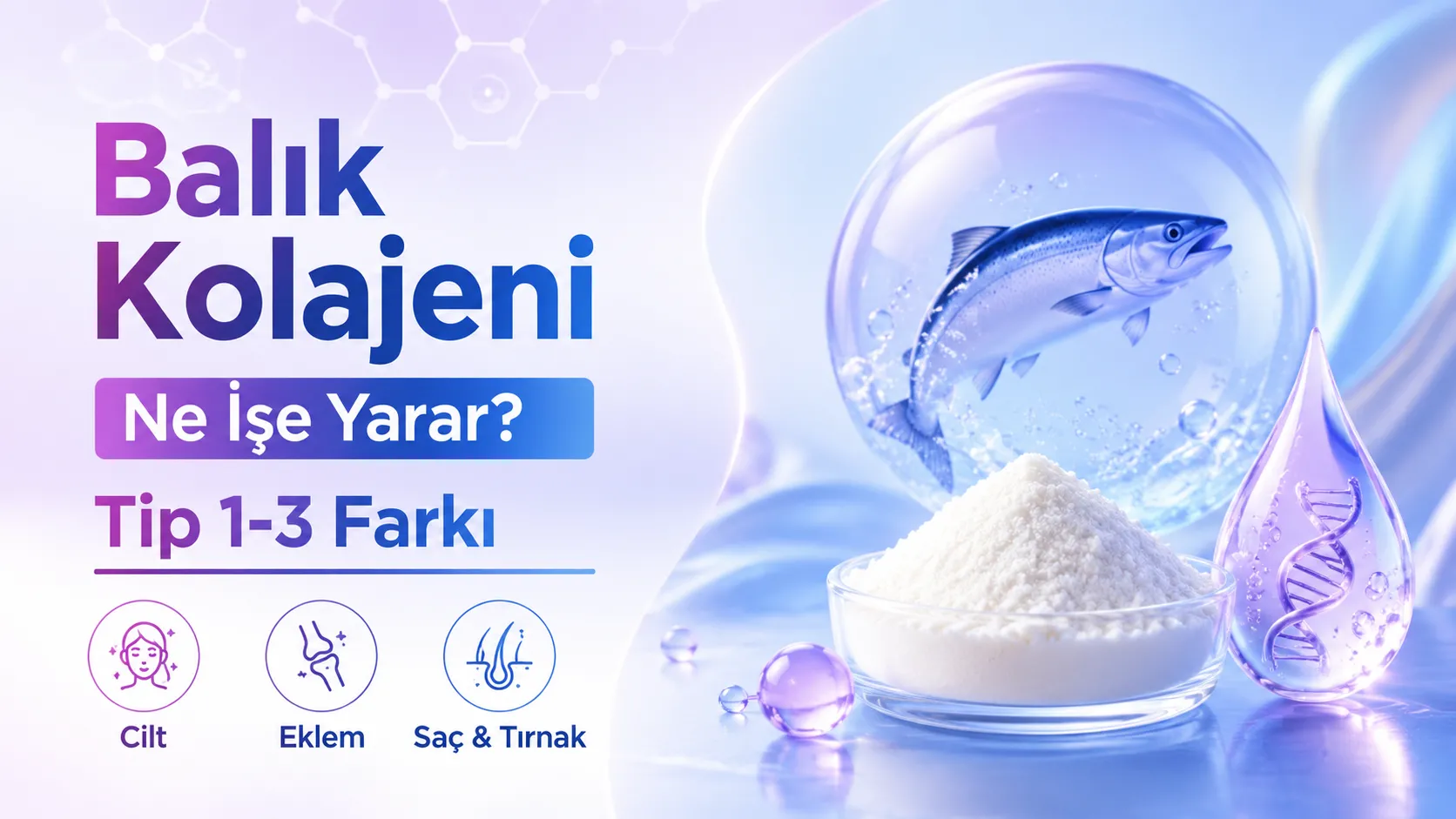 Balık Kolajeni Ne İşe Yarar? Tip 1-3 Farkı
