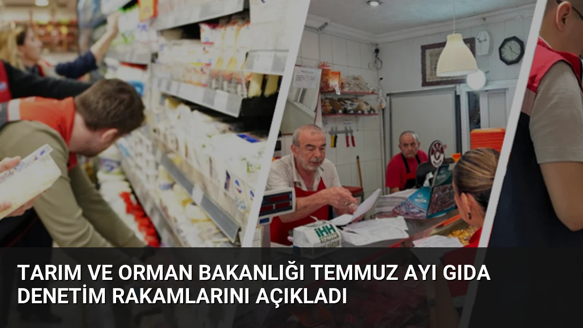 Tarım ve Orman Bakanlığı Temmuz Ayı Gıda Denetim Rakamlarını Açıkladı