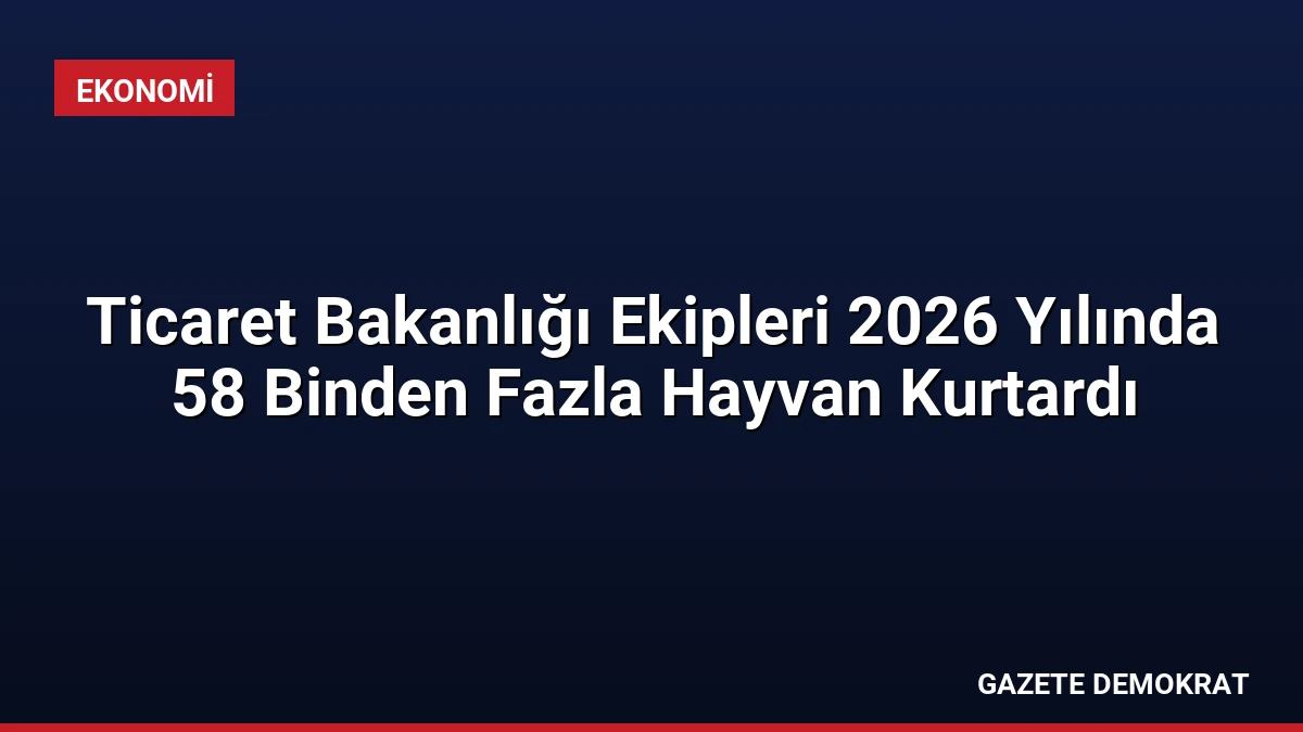 Ticaret Bakanlığı Ekipleri 2026 Yılında 58 Binden Fazla Hayvan Kurtardı