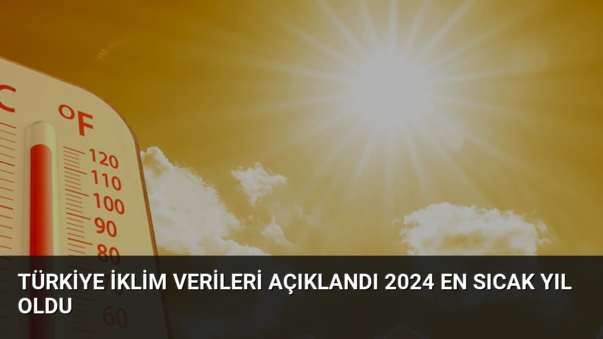 Türkiye İklim Verileri Açıklandı 2024 En Sıcak Yıl Oldu