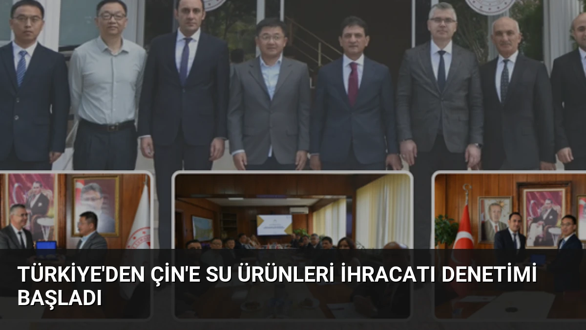 Türkiye’den Çin’e Su Ürünleri İhracatı Denetimi Başladı